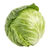 Cabbage, II grade