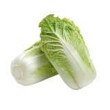 Cabbage, Chinese