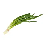 Green onion tops, II grade