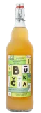 Kombucha with juniper and lemon, organic