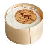 Cheese BRILLAT-SAVARIN, aged 7–14 days