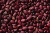 Консервированная красная фасоль