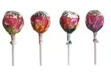 Lollipop JAKE MAXI GUM, fruit flavor, 26 g