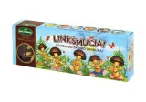 Cookies GRYBUKAI LINKSMUČIAI, dark chocolate flavor, 170 g