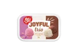 Vanilla, strawberry and cocoa flavored edible ice cream MIO&RIO 2l, 1 kg