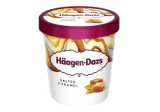 Edible Creamy Ice Cream HAAGEN DAZS with Salted Caramel, 400 g