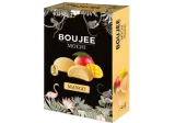 Mango flavor ice cream BOUJEE, 6 pcs., 240 g
