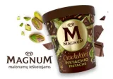 Edible ice cream MAGNUM, pistachio flavor, 311 g